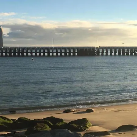 Sunny Ground Floor Escape Apartment
