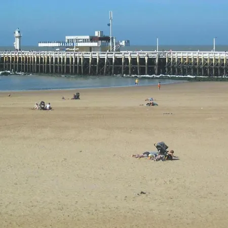 Sunny Ground Floor Escape