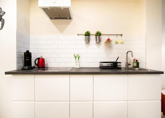 Sunny Ground Floor Escape Ostend