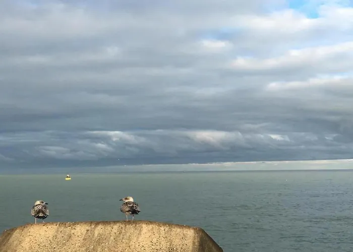 Sunny Ground Floor Escape