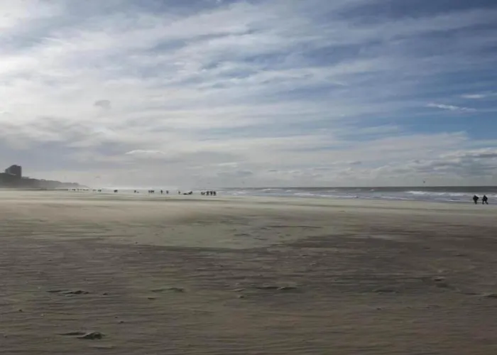 Sunny Ground Floor Escape Apartamento Ostend